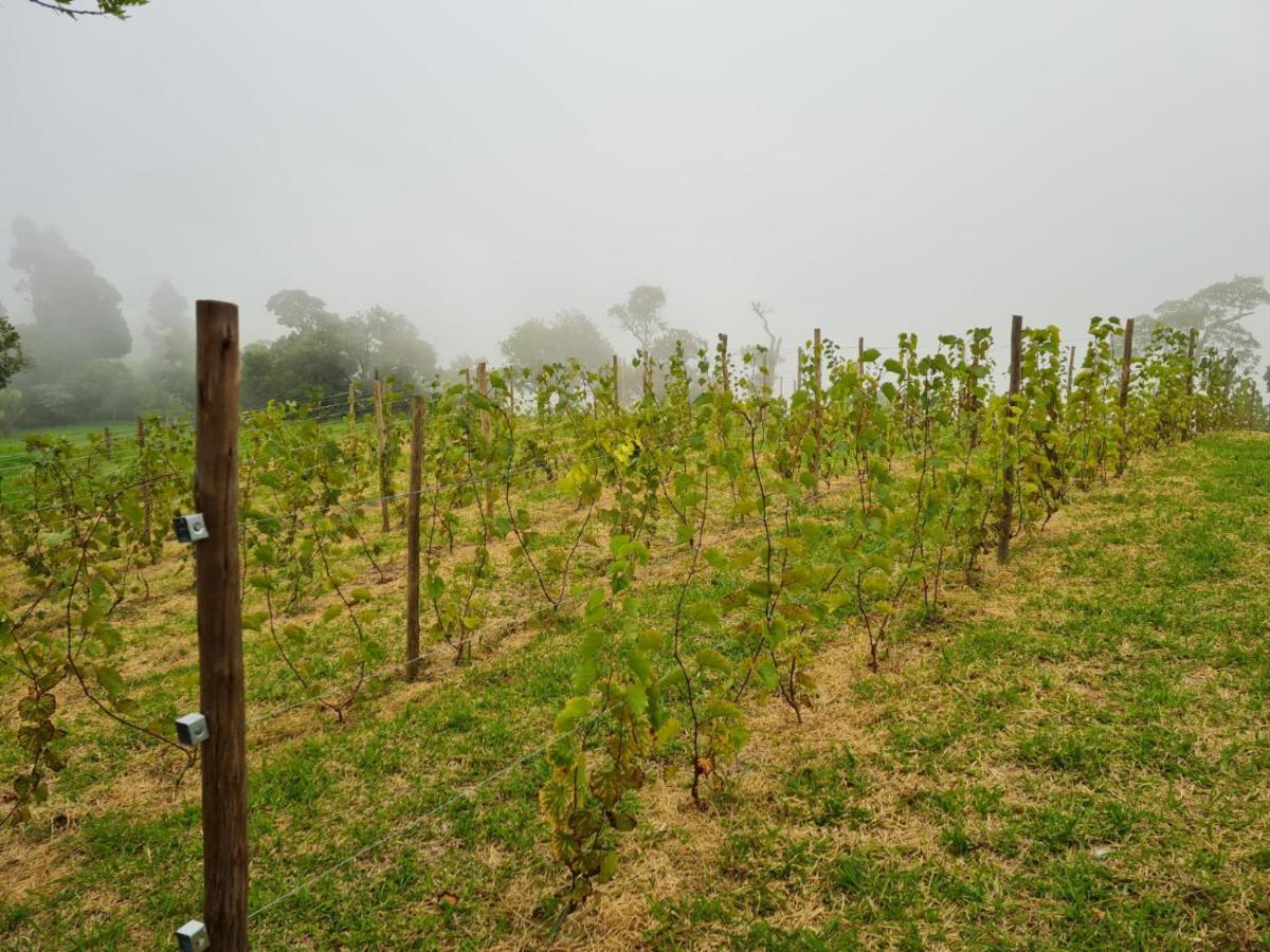 Chales Vinhas Da Harmonia L Pousada Em Cunha Sp Extérieur photo