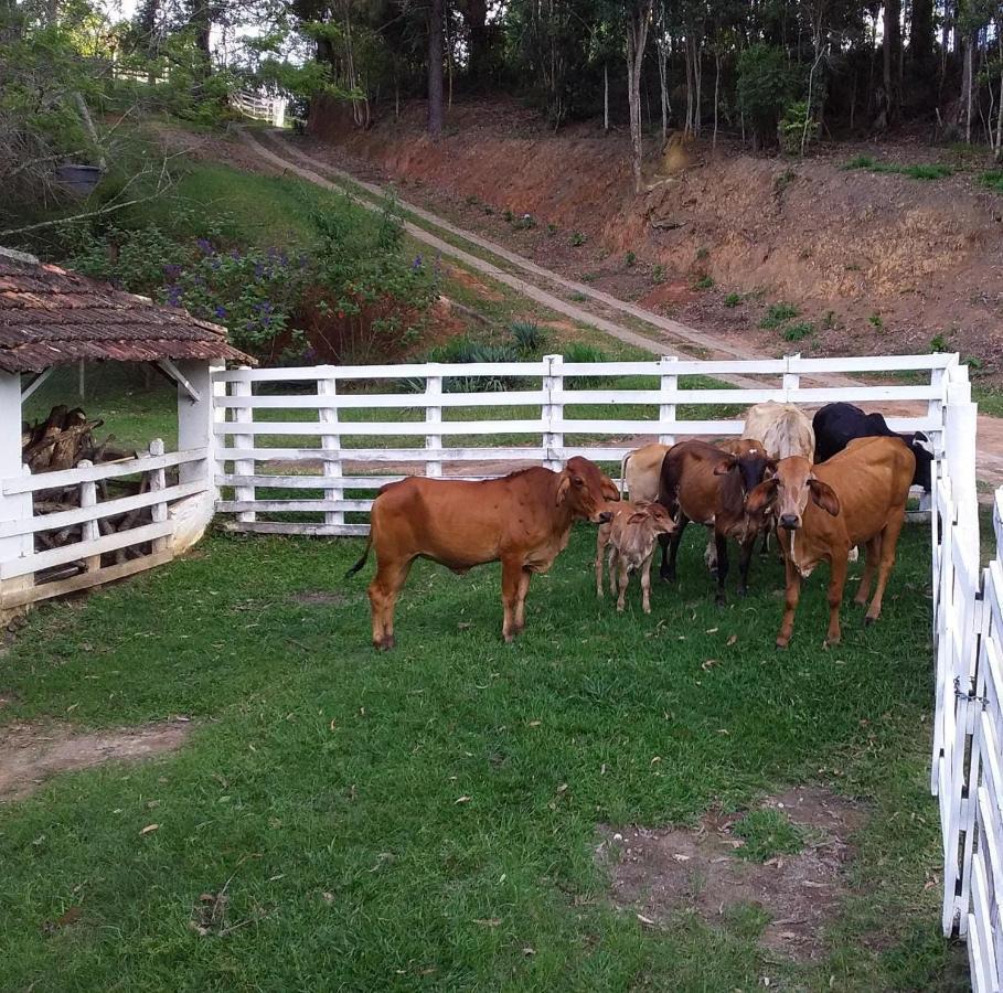 Chales Vinhas Da Harmonia L Pousada Em Cunha Sp Extérieur photo