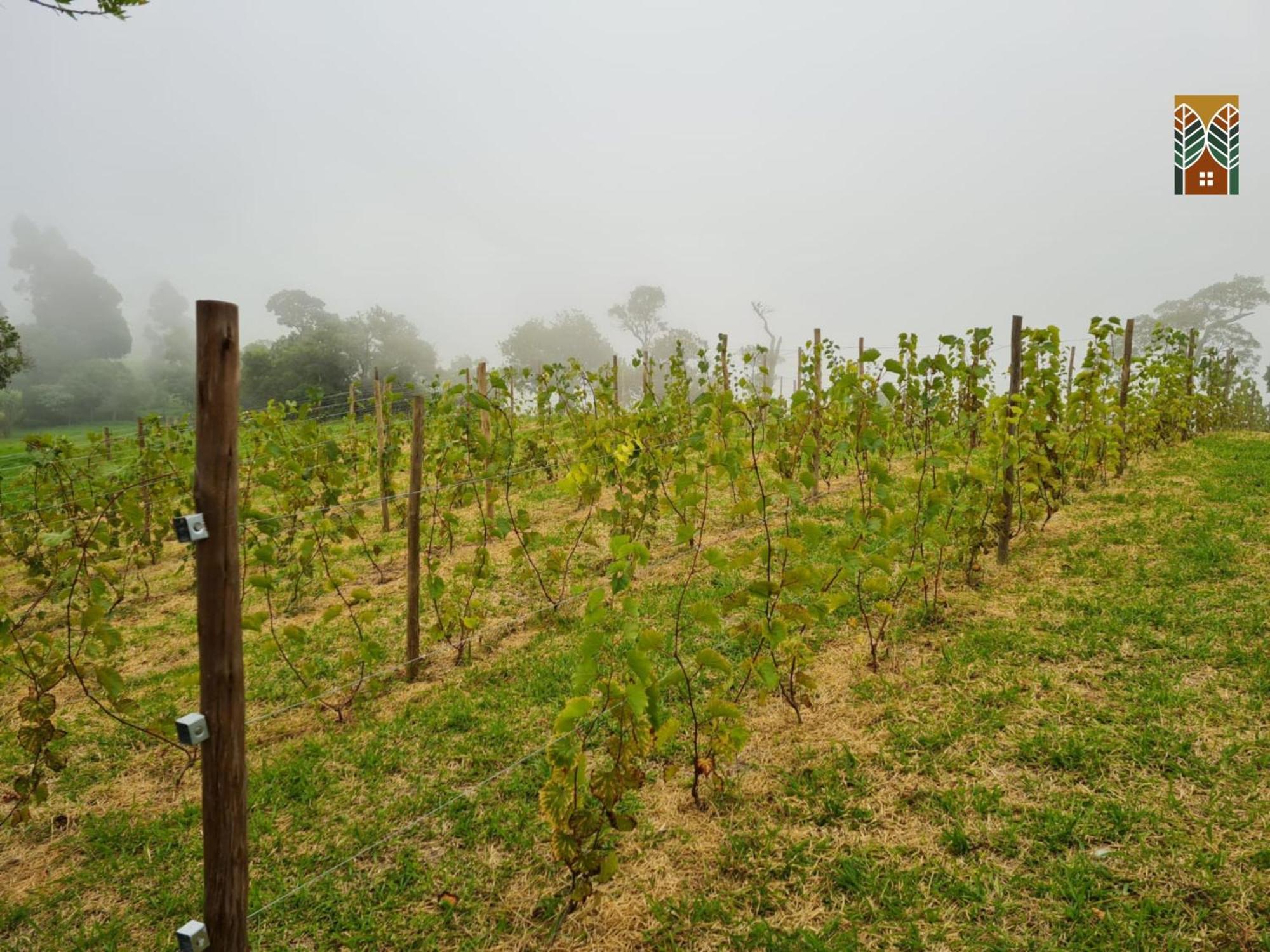 Chales Vinhas Da Harmonia L Pousada Em Cunha Sp Extérieur photo